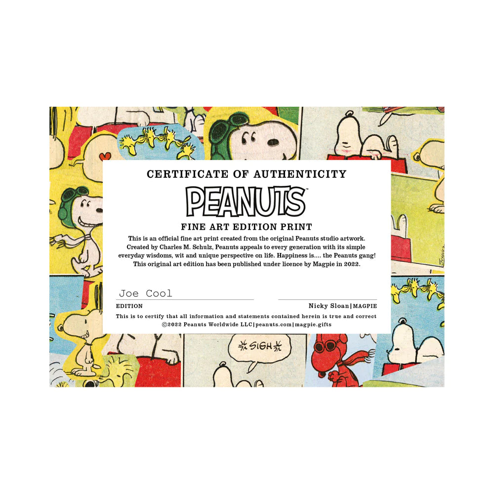 Snoopy Print - Joe Cool Frame Print