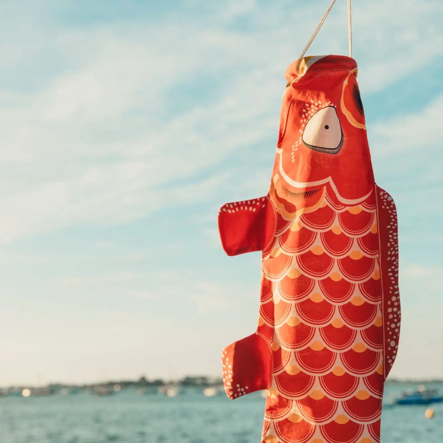 Koinobori Rouge Feu / Classy Red